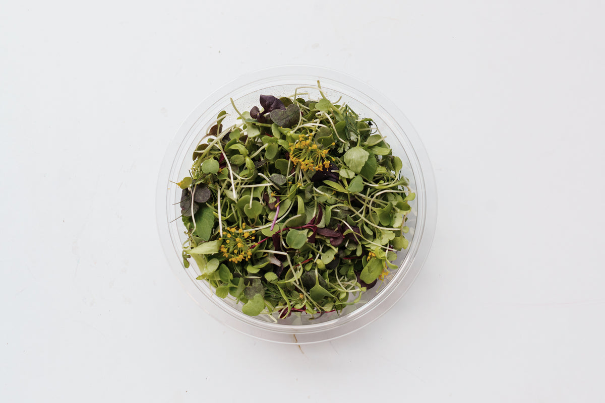 マイクロハーブリーフMIX20g