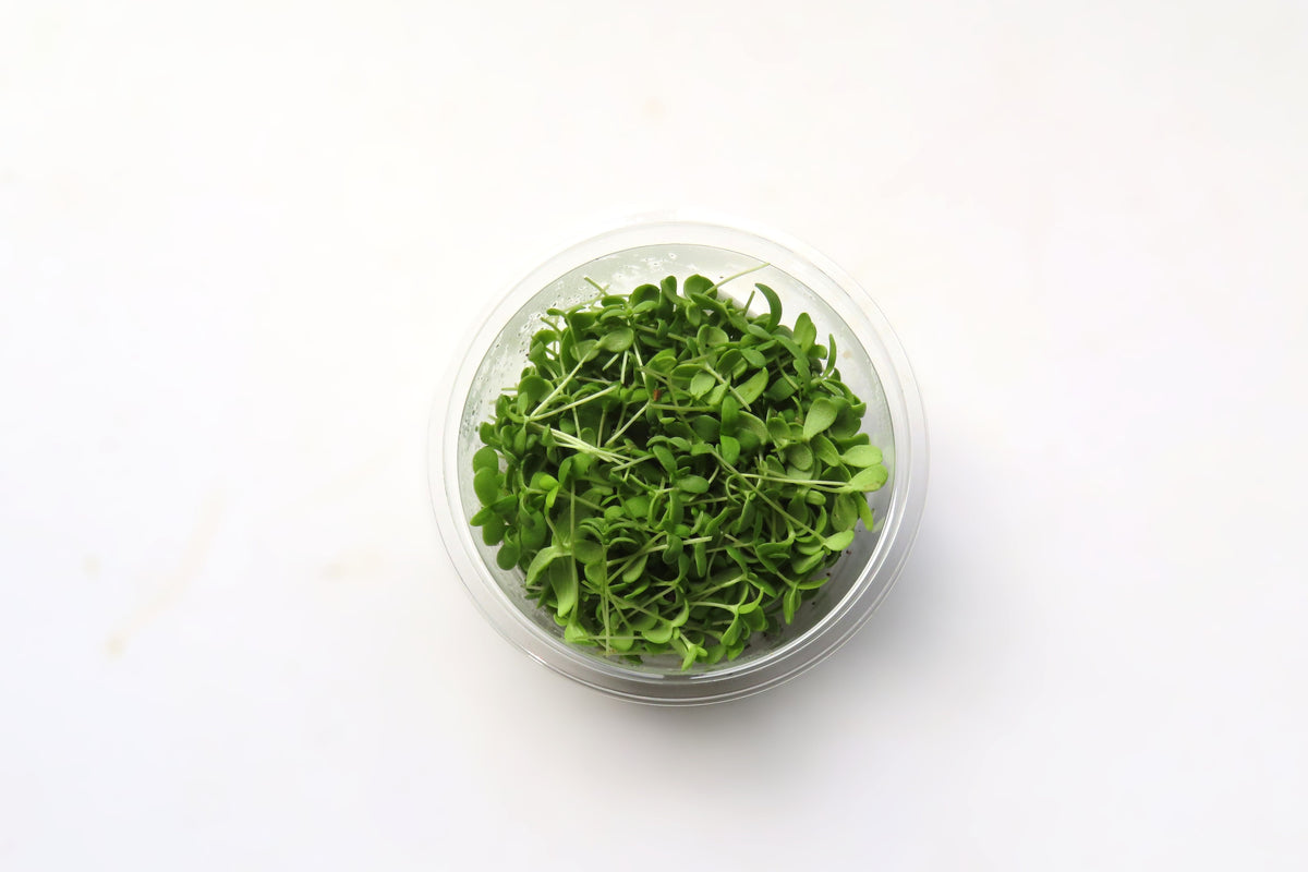 マイクロ春菊 15g