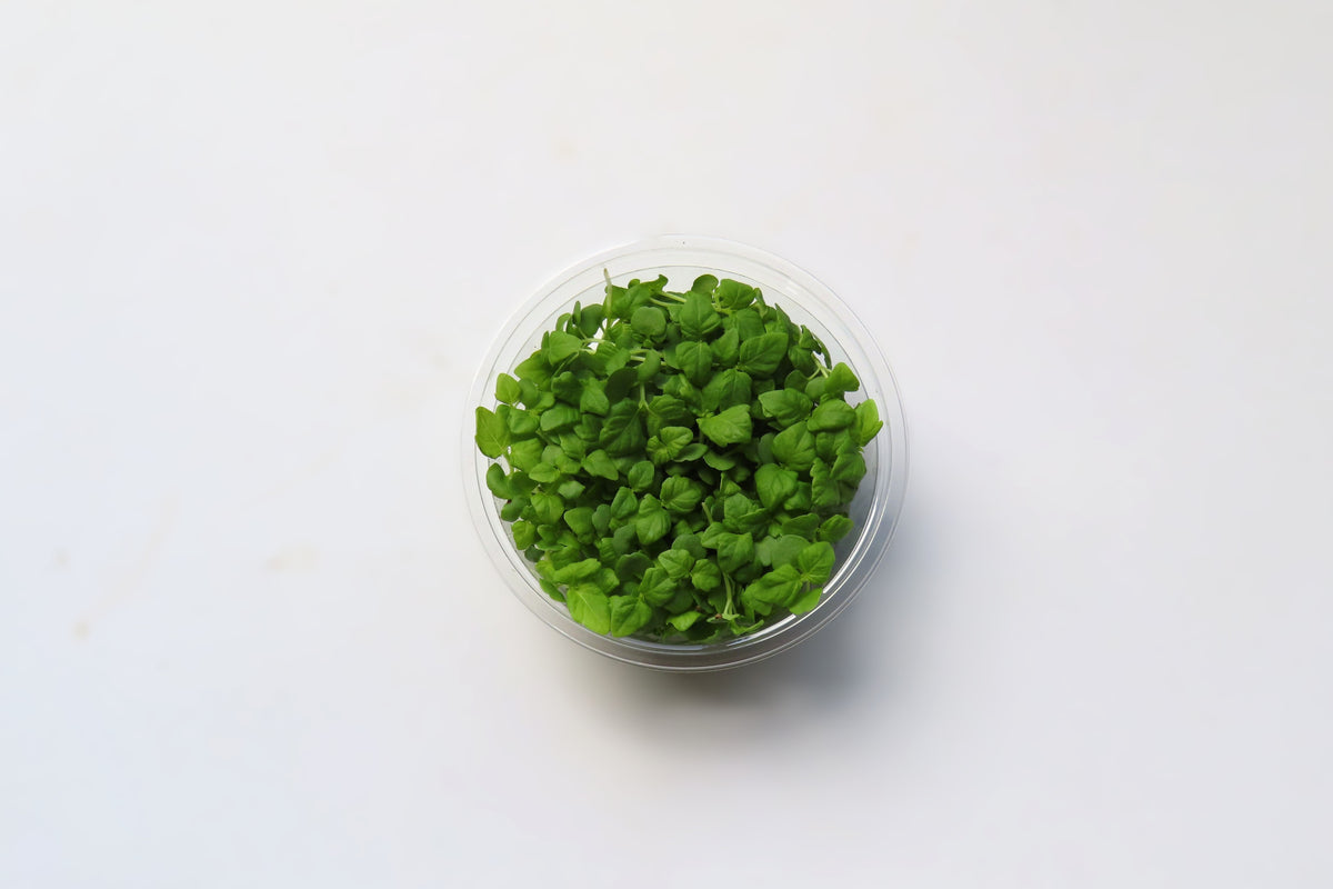 マイクロ青紫蘇 10g