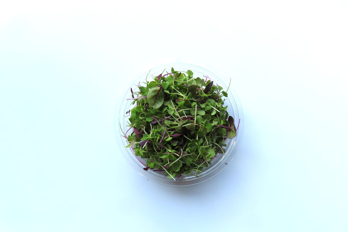 マイクロリーフMIX25g